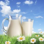 Curiosidades de la leche y los lácteos