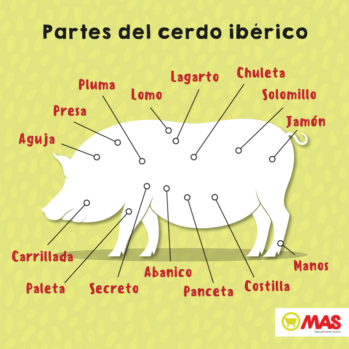 partes del cerdo ibérico y como consumirlas