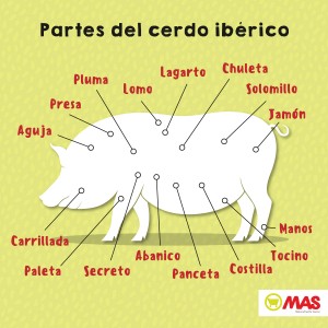 partes y carnes del cerdo ibérico
