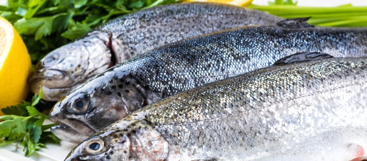 recetas con pescado azul