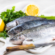 recetas con pescado azul