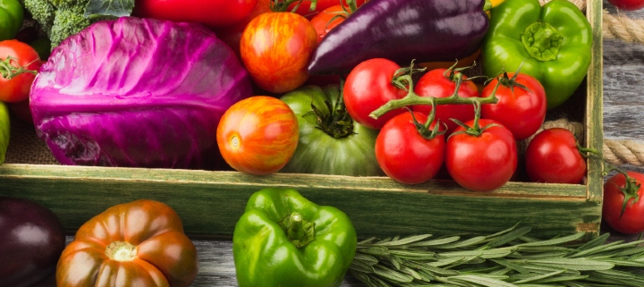 Conservar correctamente la verdura en verano